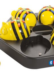 Bee Bot kit per la Scuola dell'Infanzia